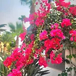 Oasis Dunas Raices Del Mar Paraíso único Apartamento *