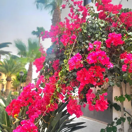 Oasis Dunas Raices Del Mar Paraiso Unico Apartmán *